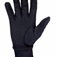 AUTHOR Gloves Windster: 1